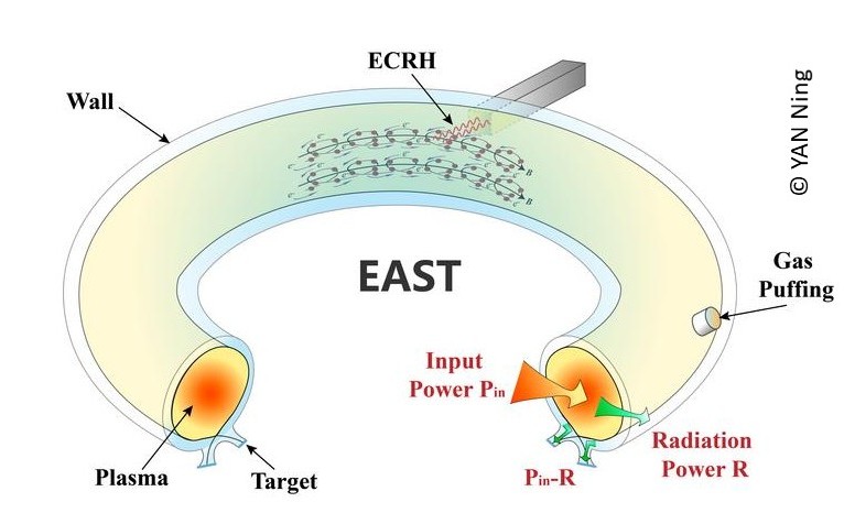 Schema Tokamak